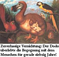 Ölgemälde eines Dodos